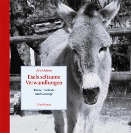 Abbildung von Meier | Esels seltsame Verwandlungen | 1. Auflage | 2025 | beck-shop.de