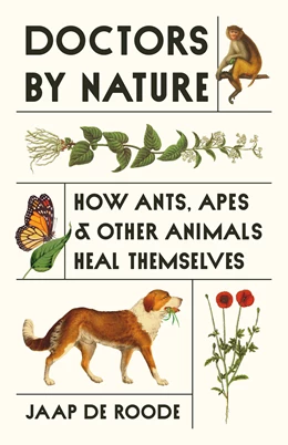 Abbildung von de Roode | Doctors by Nature | 1. Auflage | 2025 | beck-shop.de