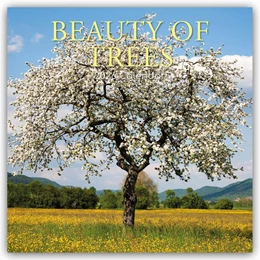 Abbildung von Gifted Stationery Co. Ltd | Beauty of Trees - Die Schönheit der Bäume 2026 - 16-Monatskalender | 1. Auflage | 2025 | beck-shop.de