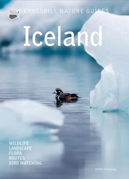 Abbildung von Hilbers | Iceland | 3. Auflage | 2025 | beck-shop.de