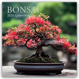 Abbildung von Gifted Stationery Co. Ltd | Bonsai - Bonsaibäume 2026 - 16-Monatskalender | 1. Auflage | 2025 | beck-shop.de