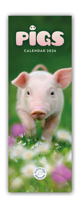 Abbildung von Carousel Calendar | Pigs - Ferkel - Schweinchen 2026 - Slimline-Kalender | 1. Auflage | 2025 | beck-shop.de