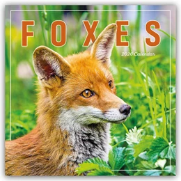 Abbildung von Carousel Calendar | Foxes - Füchse 2026 - Wand-Kalender | 1. Auflage | 2025 | beck-shop.de