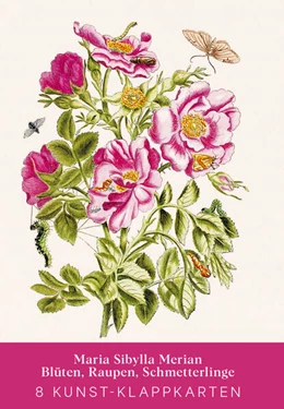 Abbildung von Maria Sibylla Merian - Acht Kunst-Klappkarten | 1. Auflage | 2025 | beck-shop.de