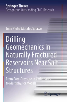 Abbildung von Morales Salazar | Drilling Geomechanics in Naturally Fractured Reservoirs Near Salt Structures | 1. Auflage | 2025 | beck-shop.de