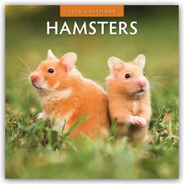 Abbildung von Red | Hamsters - Hamster 2026 - 16-Monatskalender | 1. Auflage | 2025 | beck-shop.de