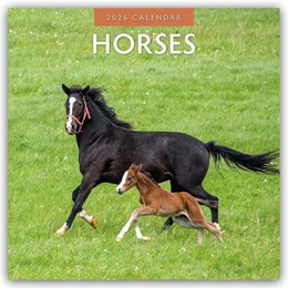 Abbildung von Red | Horses - Pferde 2026 - 16-Monatskalender | 1. Auflage | 2025 | beck-shop.de