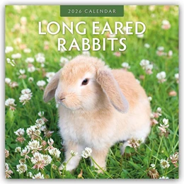 Abbildung von Red | Long Eared Rabbits - Langohrhasen 2026 - 16-Monatskalender | 1. Auflage | 2025 | beck-shop.de