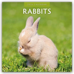 Abbildung von Red | Rabbits - Hasen - Kaninchen 2026 - 16-Monatskalender | 1. Auflage | 2025 | beck-shop.de
