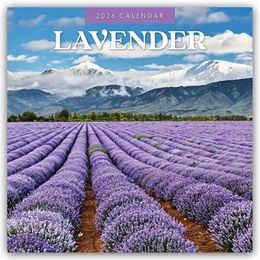 Abbildung von Red | Lavender - Lavendel 2026 - 16-Monatskalender | 1. Auflage | 2025 | beck-shop.de