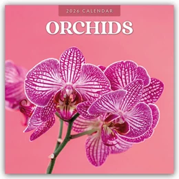 Abbildung von Red | Orchids - Orchideen 2026 - 16-Monatskalender | 1. Auflage | 2025 | beck-shop.de