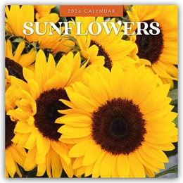 Abbildung von Red | Sunflowers - Sonnenblumen 2026 - 16-Monatskalender | 1. Auflage | 2025 | beck-shop.de