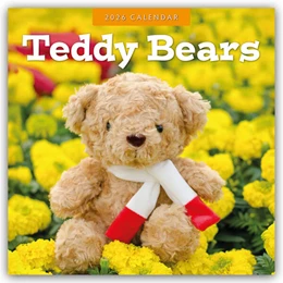 Abbildung von Red | Teddy Bears - Teddybären 2026 - 16-Monatskalender | 1. Auflage | 2025 | beck-shop.de