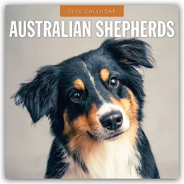 Abbildung von Red | Australian Shepherds - Australian Shepherd 2026 - 16-Monatskalender | 1. Auflage | 2025 | beck-shop.de