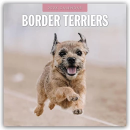 Abbildung von Red | Border Terriers - Border Terrier 2026 - 16-Monatskalender | 1. Auflage | 2025 | beck-shop.de
