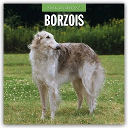Abbildung von Red | Borzois - Barsoi - Barzaia - Russischer Wolfshund 2026 - 16-Monatskalender | 1. Auflage | 2025 | beck-shop.de