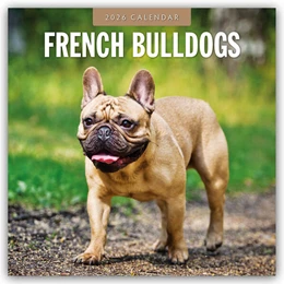 Abbildung von Red | French Bulldogs - Französische Bulldoggen 2026 - 16-Monatskalender | 1. Auflage | 2025 | beck-shop.de