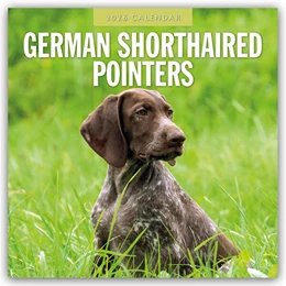 Abbildung von Red | German Shorthaired Pointers - Deutscher Kurzhaar - Deutscher Kurzhaariger Vorstehhund 2026 - 16-Monatskalender | 1. Auflage | 2025 | beck-shop.de