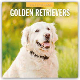 Abbildung von Red | Golden Retrievers - Golden Retriever 2026 - 16-Monatskalender | 1. Auflage | 2025 | beck-shop.de