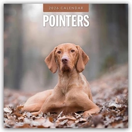 Abbildung von Red | Pointers - Vorstehhund - Pointer 2026 - 16-Monatskalender | 1. Auflage | 2025 | beck-shop.de