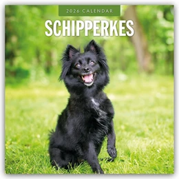 Abbildung von Red | Schipperkes - Schipperke - Kleiner Schäferhund 2026 - 16-Monatskalender | 1. Auflage | 2025 | beck-shop.de
