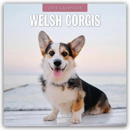 Abbildung von Red | Welsh Corgis - Welsh Corgi 2026 - 16-Monatskalender | 1. Auflage | 2025 | beck-shop.de
