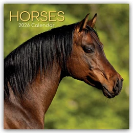 Abbildung von Gifted Stationery Co. Ltd | Horses - Pferde 2026 - 16-Monatskalender | 1. Auflage | 2025 | beck-shop.de