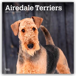 Abbildung von Publishers | Airedale Terrier 2026 - 16-Monatskalender | 1. Auflage | 2025 | beck-shop.de