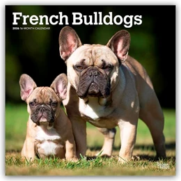 Abbildung von Publishers | French Bulldogs - Französische Bulldogge 2026 - 16-Monatskalender | 1. Auflage | 2025 | beck-shop.de