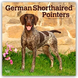 Abbildung von Publishers | German Shorthaired Pointers - Deutsch Kurzhaar 2026 - 16-Monatskalender | 1. Auflage | 2025 | beck-shop.de