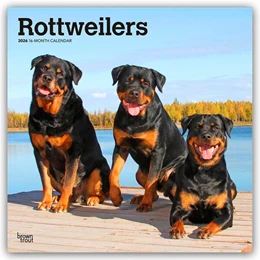 Abbildung von Publishers | Rottweilers - Rottweiler 2026 - 16-Monatskalender | 1. Auflage | 2025 | beck-shop.de