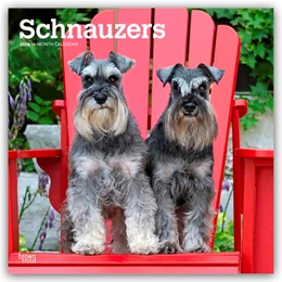 Abbildung von Publishers | Schnauzers - Schnauzer 2026 - 16-Monatskalender | 1. Auflage | 2025 | beck-shop.de