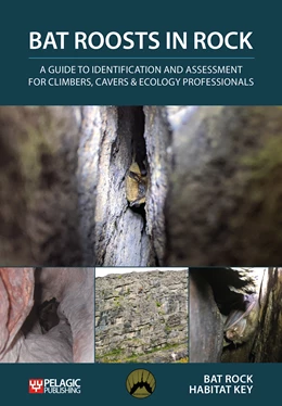 Abbildung von Bat Rock Habitat Key | Bat Roosts in Rock | 1. Auflage | 2021 | beck-shop.de