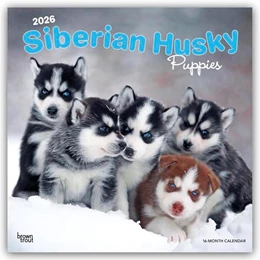 Abbildung von Publishers | Siberian Husky Puppies - Siberian Husky Welpen 2026 - 16-Monatskalender | 1. Auflage | 2025 | beck-shop.de