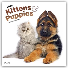 Abbildung von Publishers | Kittens & Puppies - Kätzchen & Welpen 2026 - 16-Monatskalender | 1. Auflage | 2025 | beck-shop.de