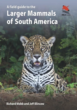 Abbildung von Webb / Blincow | A Field Guide to the Larger Mammals of South America | 1. Auflage | 2024 | beck-shop.de