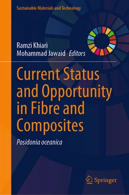 Abbildung von Khiari / Jawaid | Current Status and Opportunity in Fibre and Composites | 1. Auflage | 2025 | beck-shop.de