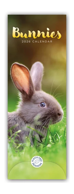 Abbildung von Carousel Calendar | Bunnies - Hasen - Kaninchen 2026 - Slimline-Kalender | 1. Auflage | 2025 | beck-shop.de