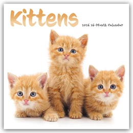 Abbildung von Carousel Calendar | Kittens - Kätzchen - Katzenjunge - Katzenbabys 2026 - Wand-Kalender | 1. Auflage | 2025 | beck-shop.de