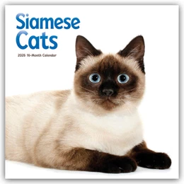 Abbildung von Carousel Calendar | Siamese Cats - Siamesische Katzen - Siamkatzen 2026 - Wand-Kalender | 1. Auflage | 2025 | beck-shop.de