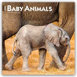 Abbildung von Publishers | Baby Animals - Tierbabys - Tierkinder 2026 - 16-Monatskalender | 1. Auflage | 2025 | beck-shop.de