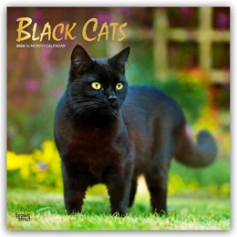 Abbildung von Publishers | Black Cats - Schwarze Katzen 2026 - 16-Monatskalender | 1. Auflage | 2025 | beck-shop.de