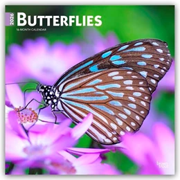 Abbildung von Publishers | Butterflies - Schmetterlinge 2026 - 16-Monatskalender | 1. Auflage | 2025 | beck-shop.de