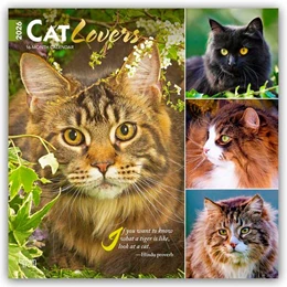 Abbildung von Publishers | Cat Lovers - Katzenliebhaber 2026 - 16-Monatskalender | 1. Auflage | 2025 | beck-shop.de