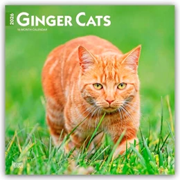Abbildung von Publishers | Ginger Cats - Gingerkatzen - Rote Katzen 2026 - 16-Monatskalender | 1. Auflage | 2025 | beck-shop.de