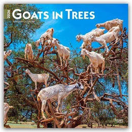 Abbildung von Publishers | Goats in Trees - Ziegen in Bäumen 2026 - 16-Monatskalender | 1. Auflage | 2025 | beck-shop.de