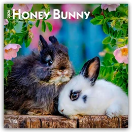 Abbildung von Publishers | Honey Bunny - Süße Häschen 2026 - 16-Monatskalender | 1. Auflage | 2025 | beck-shop.de