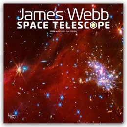 Abbildung von Publishers | James Webb Space Telescope - James Webb Weltraumteleskop 2026 - 16-Monatskalender | 1. Auflage | 2025 | beck-shop.de