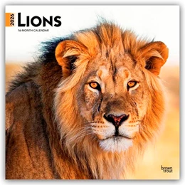 Abbildung von Publishers | Lions - Löwen 2026 - 16-Monatskalender | 1. Auflage | 2025 | beck-shop.de