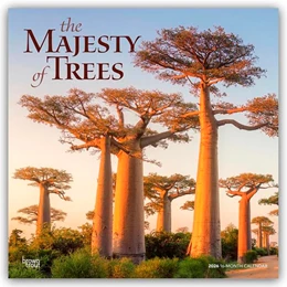 Abbildung von Publishers | The Majesty of Trees - Die Erhabenheit der Bäume 2026 - 16-Monatskalender | 1. Auflage | 2025 | beck-shop.de